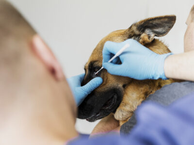 Уход за глазами