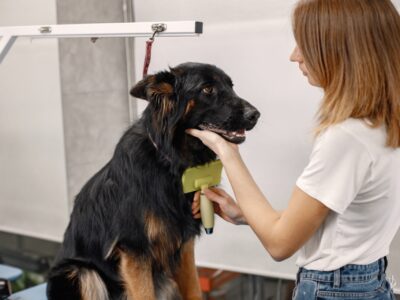 Интенсивная или затруднённая линька